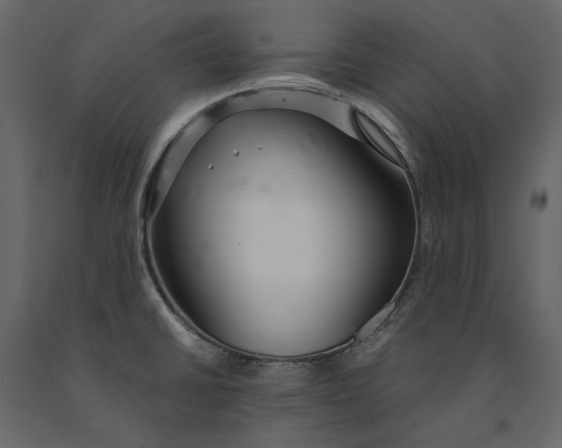 X0000091101430200708271307