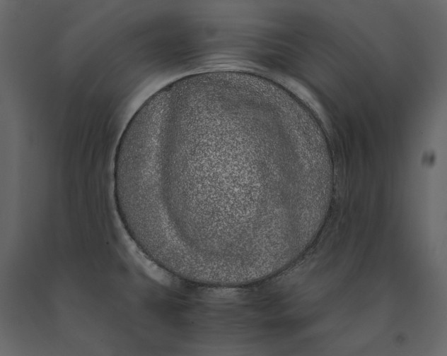 X0000091101431200708271307