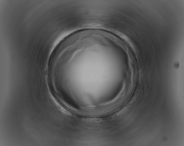 X0000091101432200708271307