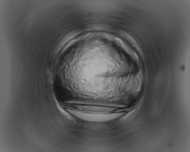 X0000091101433200708271307