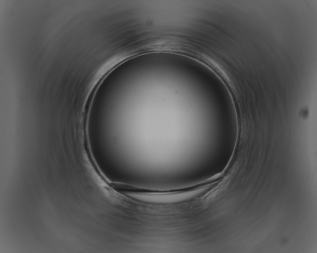 X0000091101434200708271307