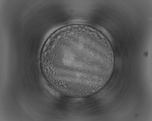 X0000091101435200708271307