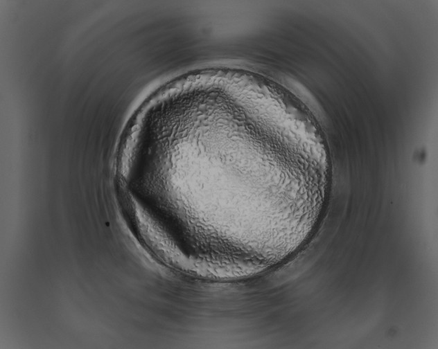 X0000091101436200708271307