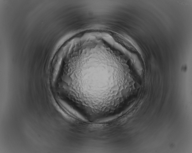 X0000091101437200708271307