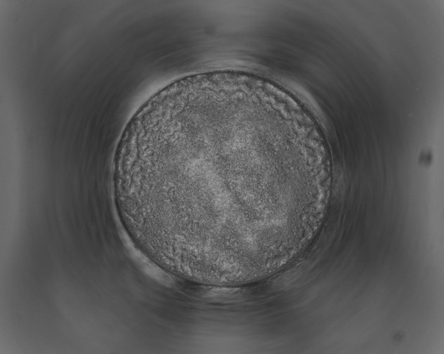 X0000091101439200708271307