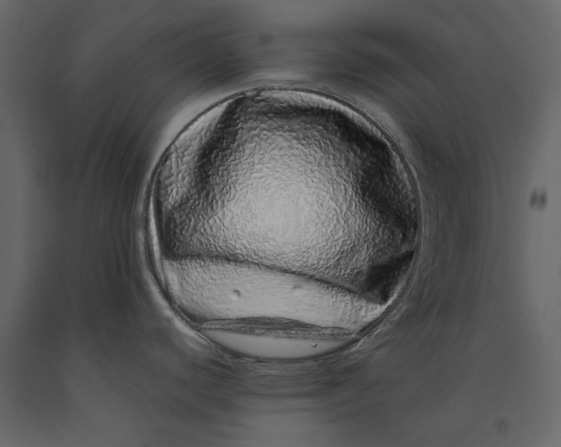 X0000091101440200708271307