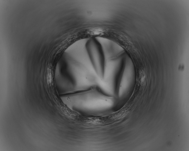 X0000091101442200708271307