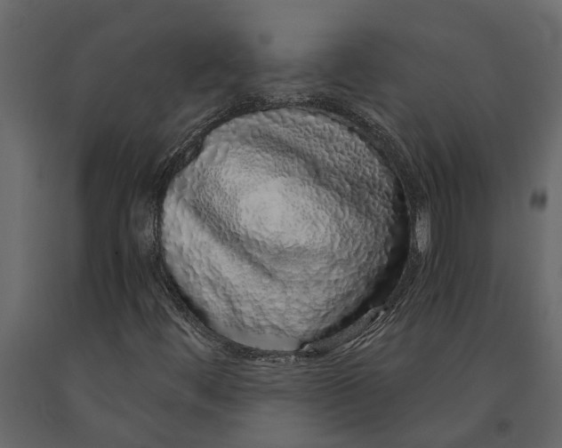 X0000091101444200708271307