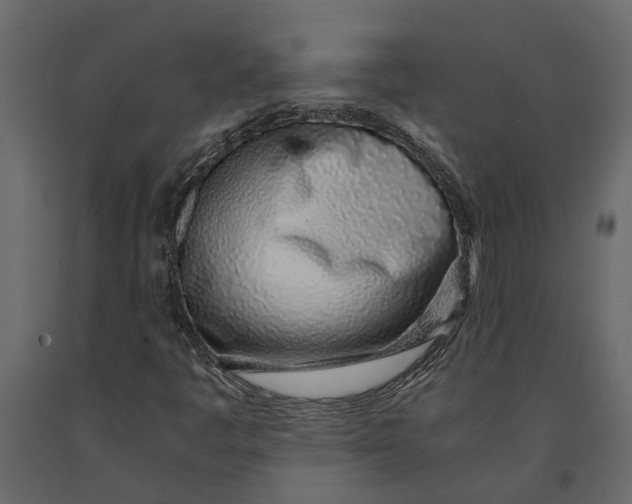 X0000091101445200708271307