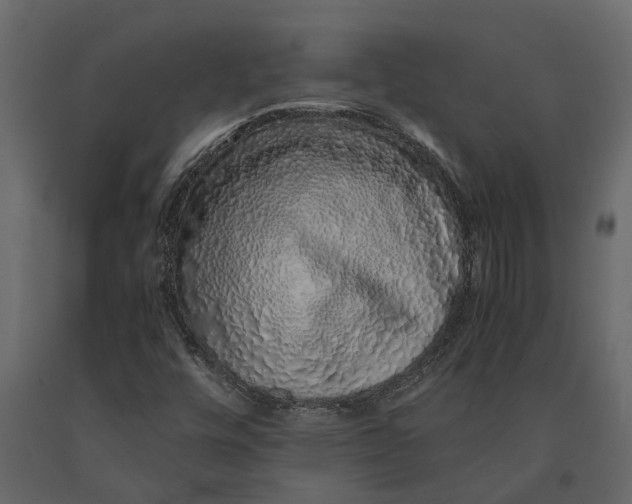 X0000091101448200708271307