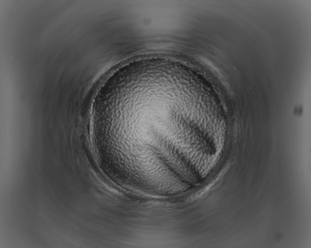 X0000091101449200708271307