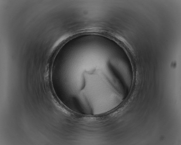 X0000091101450200708271307