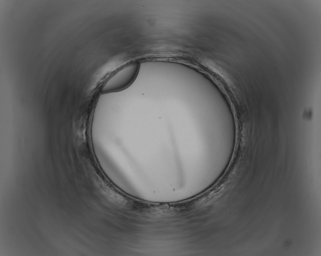 X0000091101451200708271307