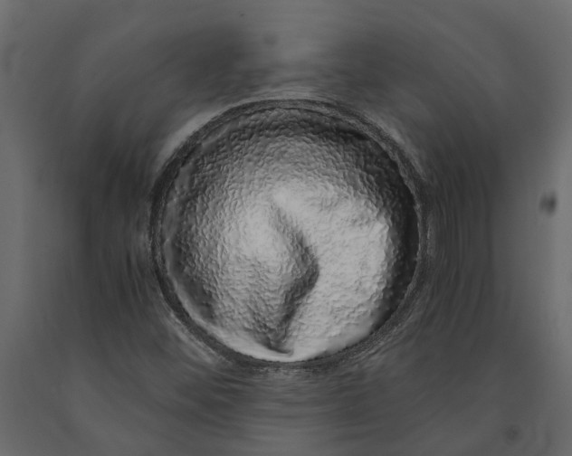 X0000091101452200708271307