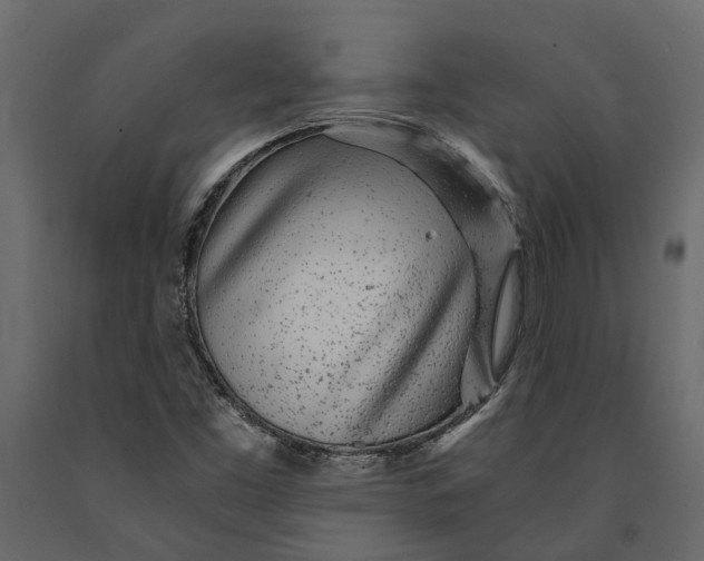 X0000091101453200708271307