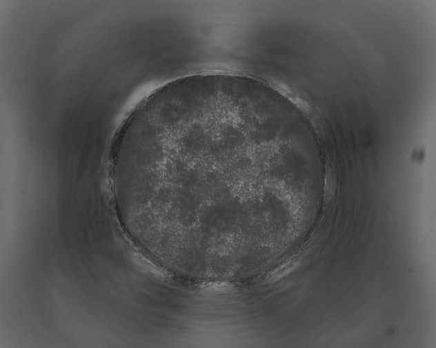 X0000091101454200708271307