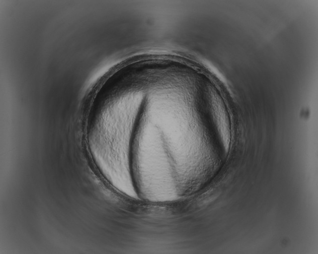 X0000091101456200708271307