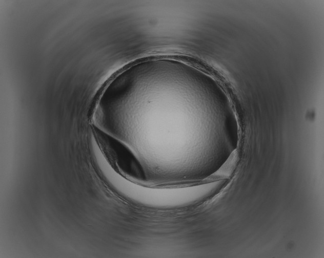 X0000091101457200708271307