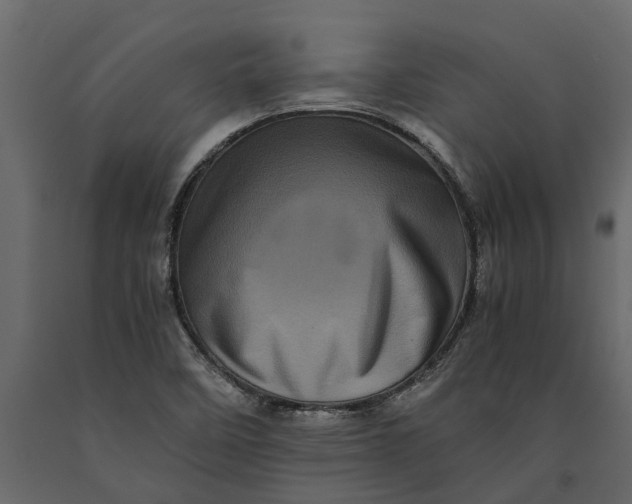 X0000091101458200708271307