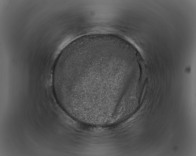 X0000091101459200708271307