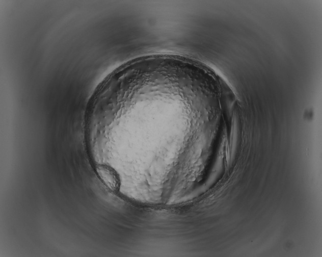 X0000091101460200708271307