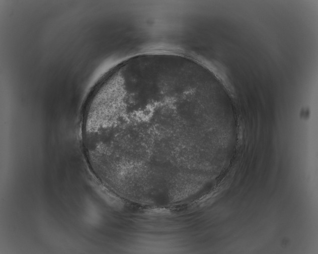 X0000091101462200708271307