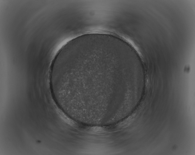 X0000091101463200708271307