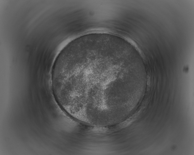 X0000091101466200708271306