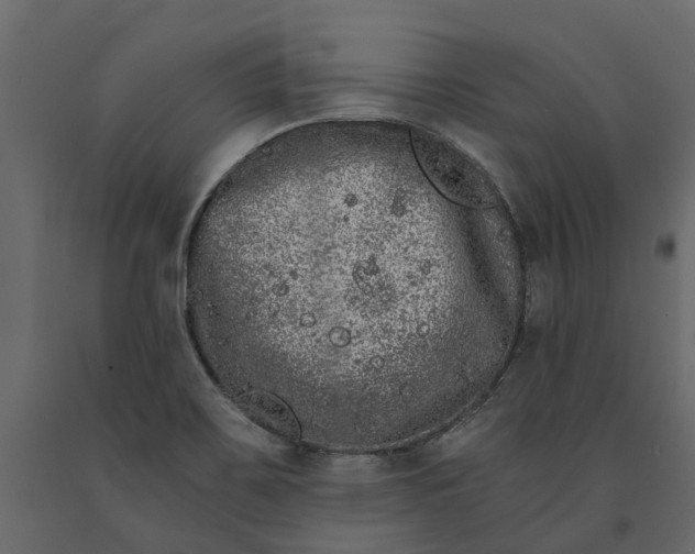 X0000091101467200708271306