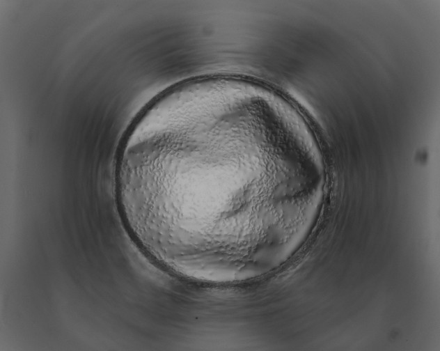 X0000091101468200708271306