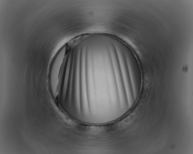 X0000091101469200708271306