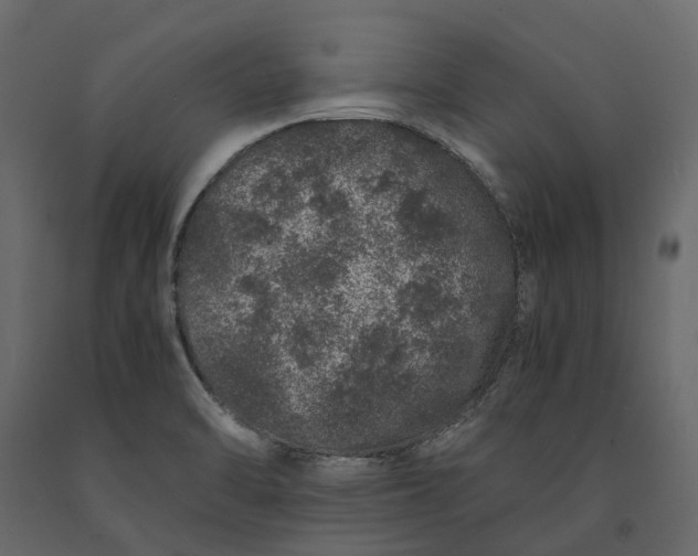 X0000091101470200708271306