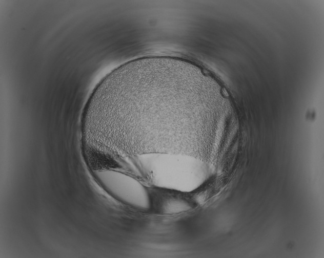 X0000091101471200708271306