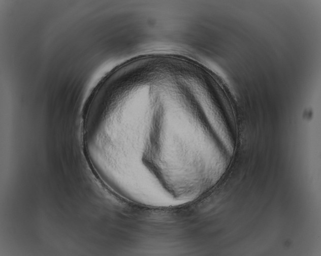 X0000091101472200708271306