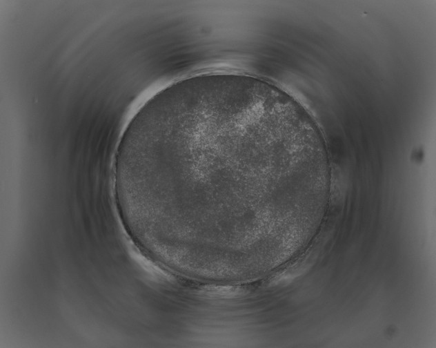 X0000091101474200708271306