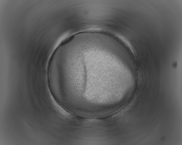 X0000091101475200708271306