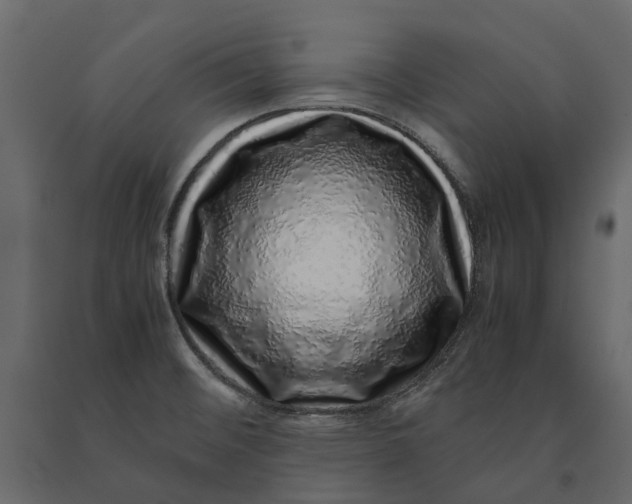 X0000091101476200708271306