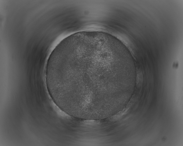 X0000091101478200708271306