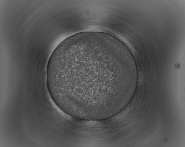 X0000091101479200708271306