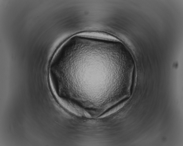 X0000091101480200708271306