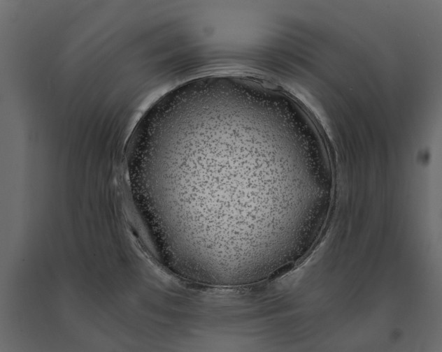 X0000091101481200708271306