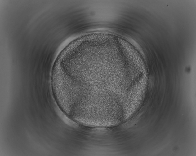 X0000091101482200708271306