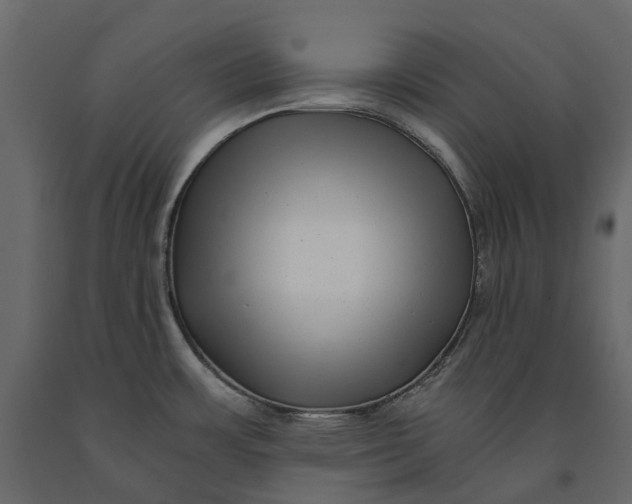 X0000091101483200708271306