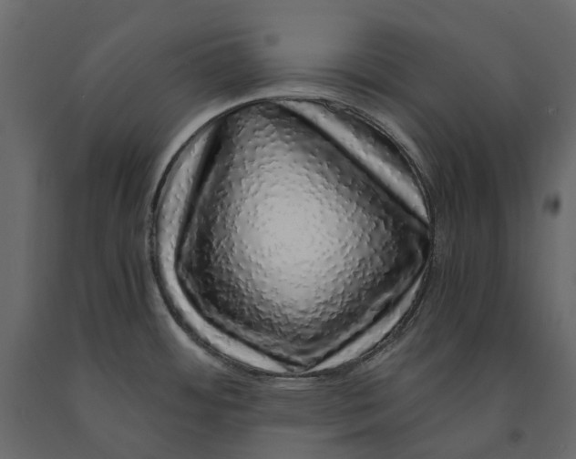 X0000091101484200708271306