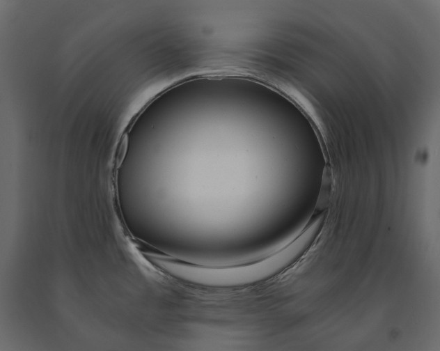 X0000091101485200708271306