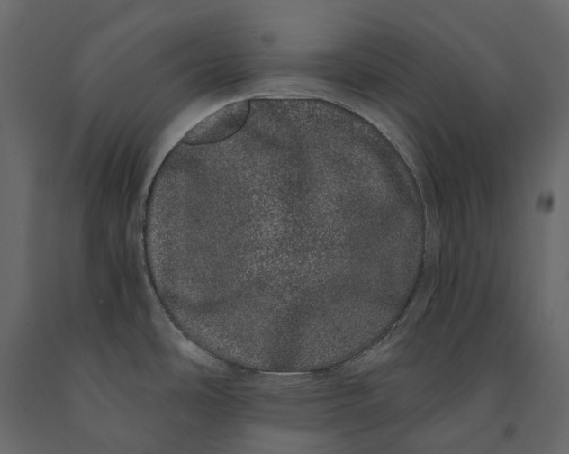 X0000091101486200708271306