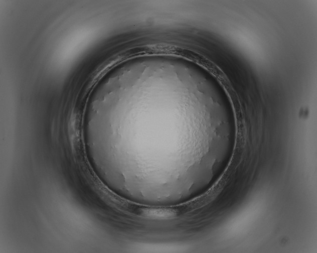 X0000091101487200708271306