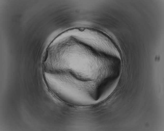 X0000091101488200708271306