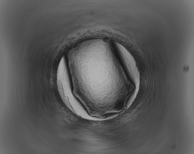 X0000091101490200708271305