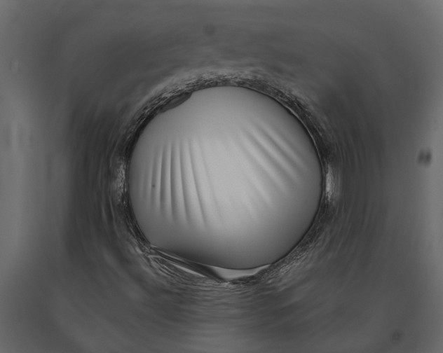 X0000091101492200708271305